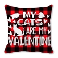 Red and black buffalo plaid pillow cover with My Cats Are My Valentine white text - My Cats Are My Valentine Style (25)