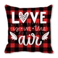Red and black buffalo plaid LOVE pillowcase with heart and wings design - 45cmx45cm / Love Is In The Air Wings(22)