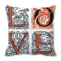 Peach skin pillowcase featuring retro artistic LOVE letters with swan and floral patterns - Vintage European Texture Love Style (22) / 18x18 Inch