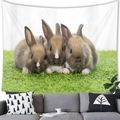 Peach skin tapestry with three realistic brown bunnies sitting in a row for home decor - 150x100cm / Baby Bunny Photography Style (2)