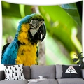 Tapiz de pared con un loro guacamayo azul y amarillo realista sobre un sofá de salón - Estilo Guacamayo Azul y Amarillo / 100cmx70cm