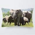 Funda de cojín 30x50cm con estampado de familia de elefantes africanos y tela suave - Familia de Elefantes Caminando en la Sabana (1)