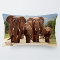 Funda de cojín 30x50cm con estampado realista de familia de elefantes africanos - Elefantes Caminando por la Carretera (3)