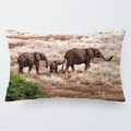 Funda de cojín rectangular con estampado de elefantes africanos en tela suave, 30x50cm - 30cm x 50cm / Familia de Tres Elefantes (4)