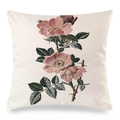 Dettaglio della stampa vintage con rose su una federa decorativa bianco crema - Motivo Rose Selvatiche / 45x45 cm