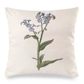 Vintage orchid faux silk square cushion cover with blue floral print on beige fabric - Forget-me-not Pattern