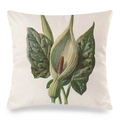 Federa bianca quadrata con stampa botanica di orchidea vintage su tessuto finto - Motivo Arum / 45x45 cm