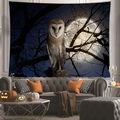 Arazzo di Halloween con gufo sotto la luna su parete grigia con zucche decorative - Gufo Pipistrello Luna Piena (Modello 5) - Pelle di Pesca / 100x70cm