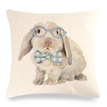 Close-up of Easter bunny linen pillowcase showing detailed watercolor rabbit illustration - Rabbit with Glasses and Bowtie (29) / 18x18 Inch