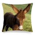 Detalle de funda de cojín de lino con estampado de burro y texto gracioso en inglés - Foto de Burro con Frase Humorística (17)