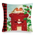 Detailed texture of linen pillow cover with robin birds on a red vintage mailbox print - 18x18 Inch / Robin Vintage Mailbox Style (23)