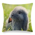 Detail of linen texture and digital print of a rabbit in grass on a square pillowcase - Gray Lop-eared Rabbit on Grass (14)