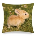 Detailed view of linen cushion cover with cute rabbit print and green grass pattern - Light Brown Baby Rabbit in Bush (13)