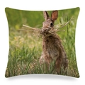 Detail of linen cushion cover showing a realistic brown rabbit on green grass - Brown Rabbit with Hay in Mouth (10)