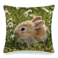 Linen cushion cover with rabbit in daisy flower field pattern for home decor - Brown Rabbit in Daisies (5)