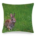 Detail eines Leinenkissenbezugs mit Digitaldruck eines Wildkaninchens im grünen Gras - Realistische Fotografie Wildhase in dichtem Gras Stil (Stil-7)