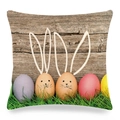 Close-up of Easter linen pillowcase showing colorful eggs on a vintage wood grain background - Vintage Wood Grain Colored Eggs And Line Rabbit Ears (19) / 45x45cm