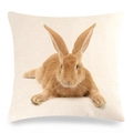 Gros plan sur la texture du lin et l'impression haute définition du lapin sur la housse - Grand Motif de Lapin Réaliste (17)