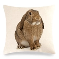 Gros plan d'une taie d'oreiller en lin avec un imprimé de lapin brun réaliste de qualité - Motif Photo Lapin Bélier Brun (15)