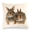 Housse de coussin en lin avec deux lapins bruns réalistes sur fond crème - Deux Lapins Réalistes Brun-Gris (5)