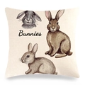 Linen Easter pillowcase featuring three hand-drawn bunnies and artistic Bunnies text - Three Rabbits (Bunnies) (9)