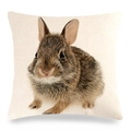 Detailed texture of linen Easter pillow cover featuring a realistic brown rabbit print - Realistic Rabbit on Beige (Style 6)