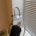 Zilveren metallic mini crossbodytas met krokodillenpatroon en handvat voor dames - Zilver