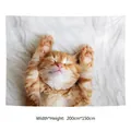 Detail of cute ginger cat tapestry size 200x150cm made of soft decorative wall fabric - 3-Sleeping Orange Cat / 100x70(Peach Skin)