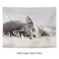 Arazzo da parete con gatto grigio 200x150cm per decorazione camera da letto accogliente - 7-Gatto grigio rilassato