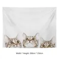Arazzo con tre gatti soriani per decorazione parete camera, misura 200x150cm - 8-Tre gatti che guardano in alto