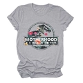 Detail of grey crewneck T-shirt showing Jurassic dinosaur silhouette and floral lettering - S / Light Gray