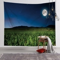 Dettaglio di un arazzo cielo stellato con luna piena e campo verde su parete bianca - 100x70(Pelle di Pesca) / Luna Piena sul Campo Verde (17)