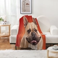 Thick flannel blanket with digital French Bulldog print on a white sofa in a cozy room - Bulldog Close-up - Gradient Orange Red Background (Style-2) / 70x100cm
