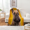 Détail d'une couverture en flanelle avec imprimé bouledogue jaune sur un canapé blanc - Gros plan Bouledogue - Fond Jaune Vif (Style-7)
