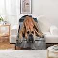 Couverture en flanelle épaisse avec imprimé bouledogue drapée sur un canapé - Bouledogue Jaune Réaliste - Fond Maison Chaleureux (Style-8)