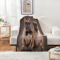 Gros plan de la couverture épaisse en flanelle avec imprimé bouledogue sur canapé - Bouledogues Doubles Décoratifs - Fond Gris (Style-12)