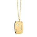 Goldene Edelstahlkette mit rechteckigem Anhänger und einem ausgeschnittenen Katzengesicht - Katzenfresse Anhänger (LN1479 Gold)