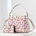 Set borsa a secchiello e portafoglio rosa con stampa ciliegie e finiture in metallo a V - Rosa