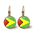 Macro view of bronze hook earrings featuring the Guyana flag design with a glass dome cover - Guyana Flag - Bronze (JY00435-4)