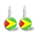 Macro detail of silver drop earrings featuring Guyana flag gem glass cabochons - Guyana Flag - Silver (JY00435-4)