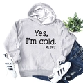 Light gray hoodie with Yes I'm cold ME 24:7 slogan print and front pocket design - S / Light Gray