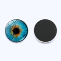 Detail of round 25mm glass fridge magnet with realistic blue cat eye iris pattern - Blue Iris Style (JY001894-1)