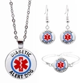 Macro detail of silver medical alert jewelry set with Diabetic Alert Dog Star of Life symbol - Diabetic Alert Dog(JY003786-3)
