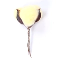 Testa di fiore di cotone giallo pallido su gambo lungo per decorazioni e oggetti di scena - Giallo