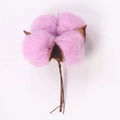 Fiore di cotone essiccato decorativo rosa con gambo per decorazioni domestiche - Viola