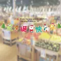 Cartoon Christmas bunting banner with Santa and reindeer motifs, model Z-26, length 3M - Z26-Chinese Characters Merry Christmas Style