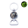 Luminous Cheshire Cat bottle opener keychain with glow-in-the-dark Alice design - Painted Cat (JY006720-1)