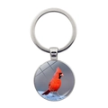 Detail of cardinal bird glass cabochon pendant on a silver metal keychain ring - Cardinal Portrait Style (JY007872-7)