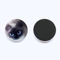 Close-up of a 25mm round glass fridge magnet with cute Siamese cat and magnetic back - Siamese Cat Big Eyes (JY007919-9)