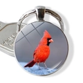 Detailansicht des Kardinalvogel-Schlüsselanhängers mit gewölbtem Glas und Metallring - Kardinal Fotografie Stil (JY007885-7)